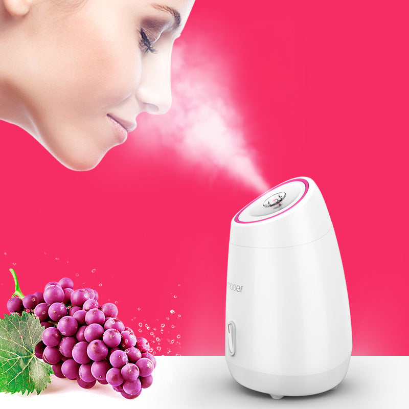 Maoer Fruit And Vegetable Face Steamer Hot Spray Home